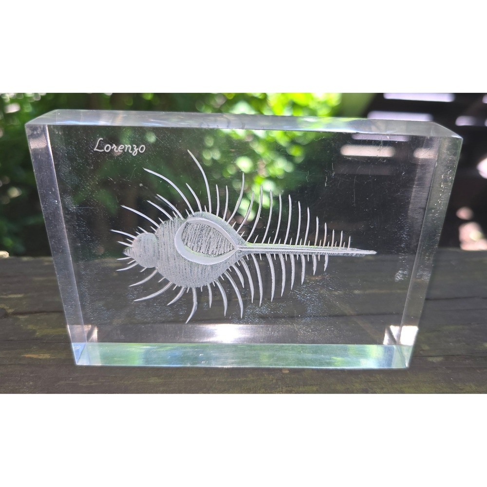 Vintage Lorenzo Signed Acrylic‎ Laser Etched Venus Comb Murex Shell Paperweight
